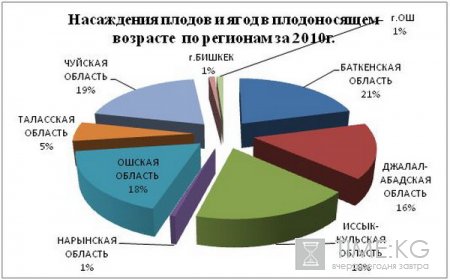 Кыргызская Республика обладает огромным потенциалом выращивания плодовых и ягодных культур, Кыргызская Республика обладает огромным потенциалом выращивания плодовых и ягодных культур,