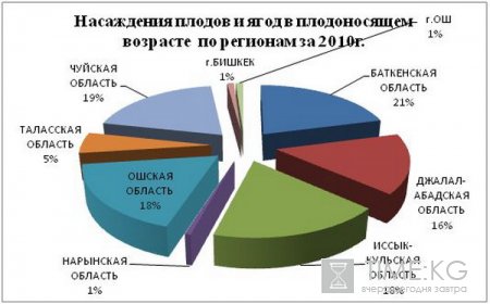 Кыргызская Республика обладает огромным потенциалом выращивания плодовых и ягодных культур,