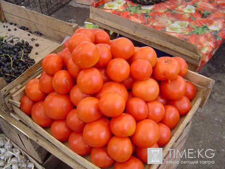 Кыргызская Республика обладает огромным потенциалом выращивания плодовых и ягодных культур, Кыргызская Республика обладает огромным потенциалом выращивания плодовых и ягодных культур,