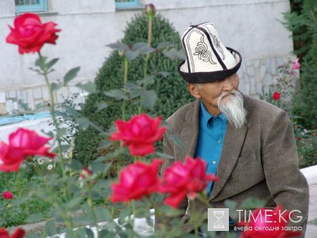 Пенсии в Кыргызстане не хватает даже на хлеб и молоко