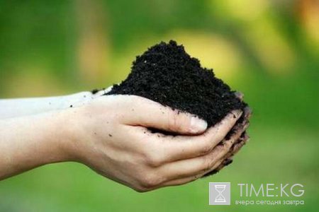 Будущее развитие сельского хозяйства КР- органическое сельское хозяйство Будущее развитие сельского хозяйства КР- органическое сельское хозяйство