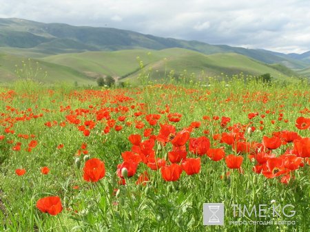 Союз пешеходного туризма Кыргызстана: План походов на Июнь 2011. Союз пешеходного туризма Кыргызстана: План походов на Июнь 2011.
