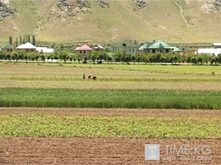 Хороший урожай - гарантия продовольственной безопасности. Хороший урожай - гарантия продовольственной безопасности.