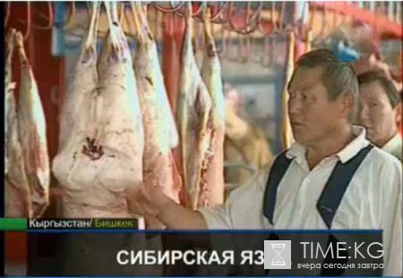 В Кыргызстане c подозрением на сибирскую язву госпитализированы два человека В Кыргызстане c подозрением на сибирскую язву госпитализированы два человека