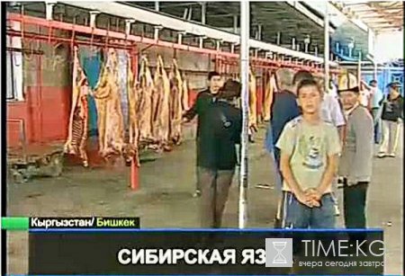 В Кыргызстане c подозрением на сибирскую язву госпитализированы два человека В Кыргызстане c подозрением на сибирскую язву госпитализированы два человека
