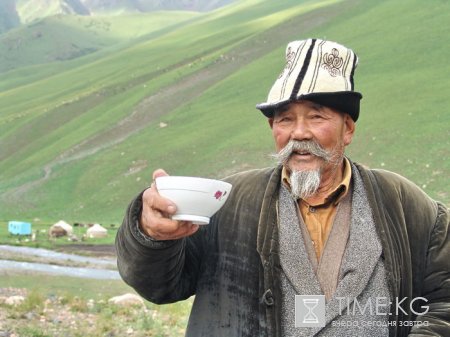 На высокогорных джайлоо Суусамыра в разгаре сезон кумыса.