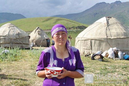 На высокогорных джайлоо Суусамыра в разгаре сезон кумыса.