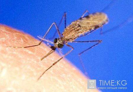 Тренинг по вопросам малярии и туберкулеза для журналистов Тренинг по вопросам малярии и туберкулеза для журналистов