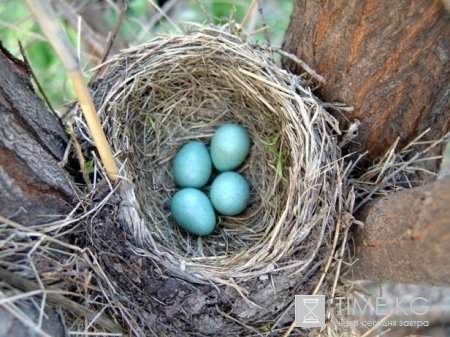Союз пешеходного туризма Кыргызстана: План походов на Июль 2011. Союз пешеходного туризма Кыргызстана: План походов на Июль 2011.
