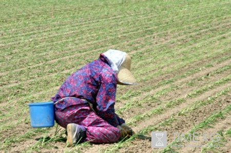 И вновь дружественная Япония протянула руку помощи Кыргызстану