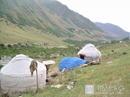 Кумысолечение стремительно набирает обороты Кумысолечение стремительно набирает обороты
