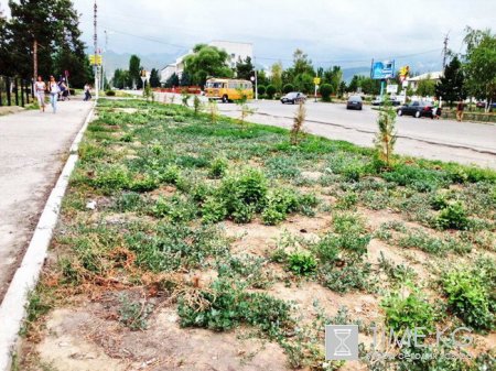 Власти Каракола по-своему относятся к народным деньгам, выделенным для благоустройства города Власти Каракола по-своему относятся к народным деньгам, выделенным для благоустройства города