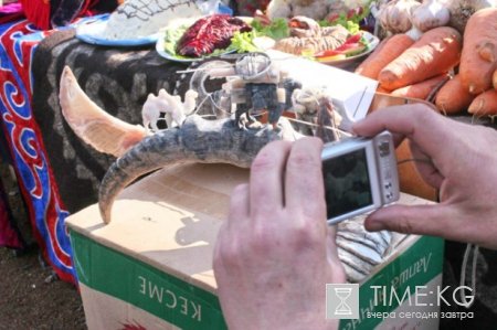Жизнь в кадре. 12 июля общественность отмечала Международный день фотографов. Жизнь в кадре. 12 июля общественность отмечала Международный день фотографов.