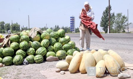 На столичных рынках и улицах появились арбузы — лучшие помощники в борьбе с целым букетом недугов. На столичных рынках и улицах появились арбузы — лучшие помощники в борьбе с целым букетом недугов.