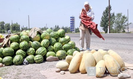 На столичных рынках и улицах появились арбузы — лучшие помощники в борьбе с целым букетом недугов.