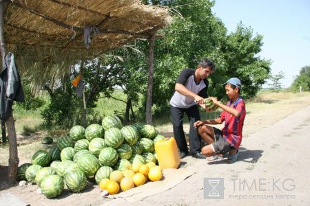 На столичных рынках и улицах появились арбузы — лучшие помощники в борьбе с целым букетом недугов.