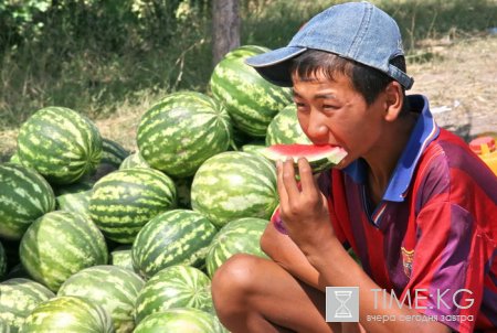 На столичных рынках и улицах появились арбузы — лучшие помощники в борьбе с целым букетом недугов.