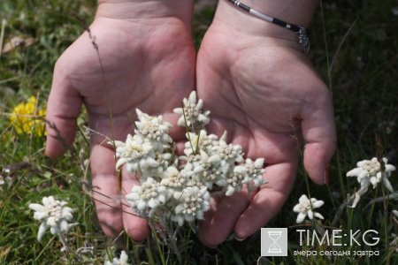 Озеро Сон-Куль - это сказочное высокогорное озеро Тянь-Шаня.