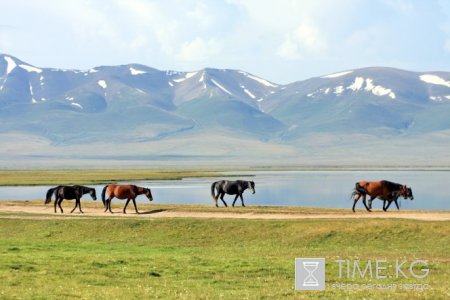 Озеро Сон-Куль - это сказочное высокогорное озеро Тянь-Шаня. Озеро Сон-Куль - это сказочное высокогорное озеро Тянь-Шаня.
