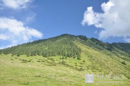 Плату за экосистемные услуги пробуют ввести в Кыргызстане