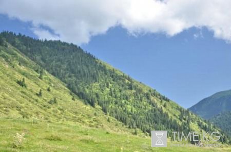Плату за экосистемные услуги пробуют ввести в Кыргызстане Плату за экосистемные услуги пробуют ввести в Кыргызстане