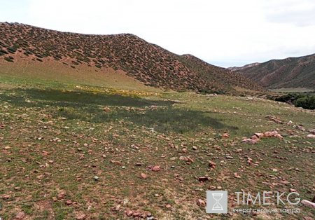 Тайна колец Кромлеха в Прииссыккулье остается неразгаданной Тайна колец Кромлеха в Прииссыккулье остается неразгаданной