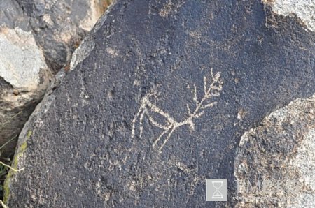 Погружение в историю Погружение в историю