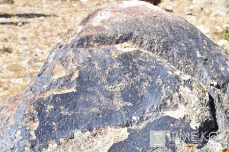 Погружение в историю Погружение в историю
