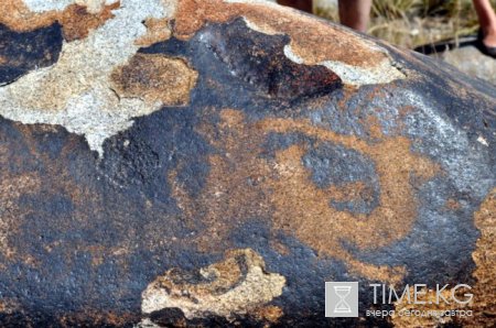 Погружение в историю Погружение в историю
