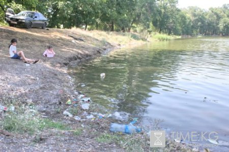 Родному городу и родной стране - образцовый порядок! Родному городу и родной стране - образцовый порядок!