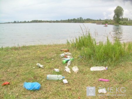 Родному городу и родной стране - образцовый порядок! Родному городу и родной стране - образцовый порядок!