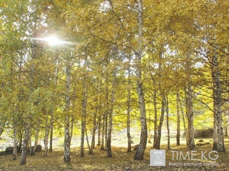 Союз пешеходного туризма Кыргызстана: План походов на Октябрь 2011 Союз пешеходного туризма Кыргызстана: План походов на Октябрь 2011