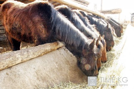 Вкладывать в сельскохозяйственное производство выгодно