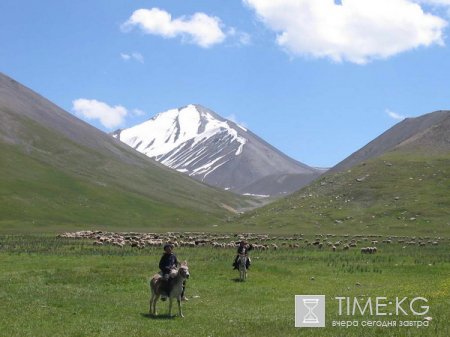 Приграничные проблемы затянулись на долгие годы