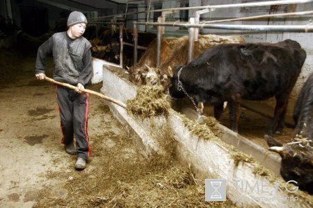 Кыргызстан располагает исключительно благоприятными природными климатическими условиями для развития животноводства