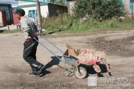 Надо лечить причину болезни, а не саму болезнь Надо лечить причину болезни, а не саму болезнь