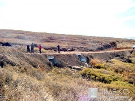 Жители Суусамырского айыльного округа получили доступ к высокогорному отгонному пастбищу Жители Суусамырского айыльного округа получили доступ к высокогорному отгонному пастбищу