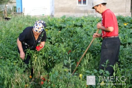 Цены на продовольствие – от кризиса к стабильности Цены на продовольствие – от кризиса к стабильности