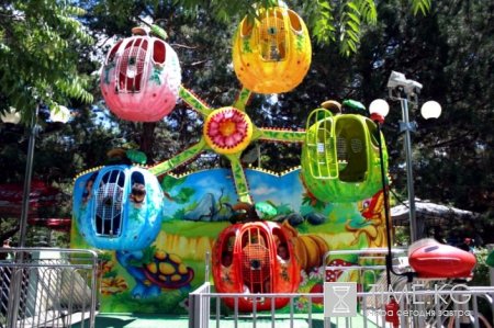 Праздник в парке «Фламинго» Праздник в парке «Фламинго»