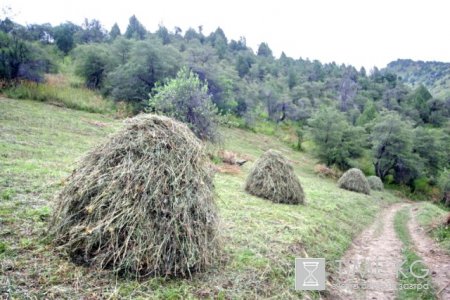 Сары–Челек уже не заповедник?