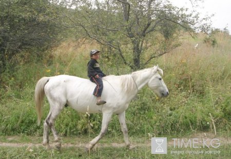 Сары–Челек уже не заповедник?