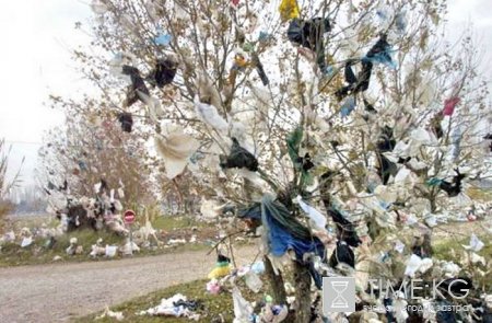В Кыргызстане в целях борьбы с мусором предлагает сделать полиэтиленовые пакеты платными В Кыргызстане в целях борьбы с мусором предлагает сделать полиэтиленовые пакеты платными