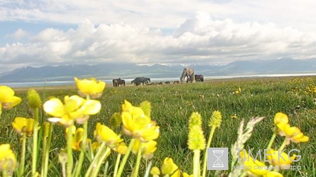 Сон - Куль - самое романтичное место в Кыргызстане Сон - Куль - самое романтичное место в Кыргызстане
