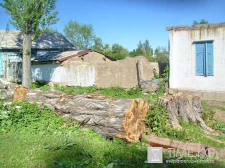 СУЛ набирает обороты