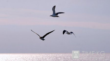 Календарь походов и поездок Союза на Сентябрь 2012 года Календарь походов и поездок Союза на Сентябрь 2012 года