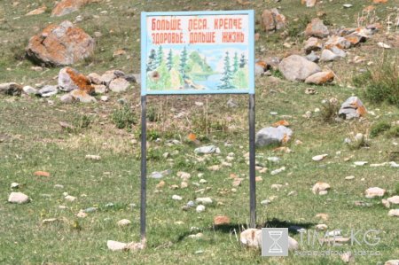 Лекарственные травы помогут фермерам Лекарственные травы помогут фермерам