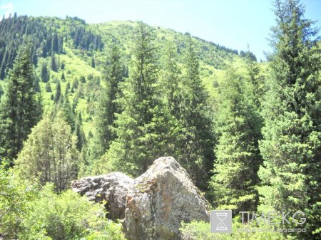 Экскурсия в ущелье Кель-Тор Экскурсия в ущелье Кель-Тор