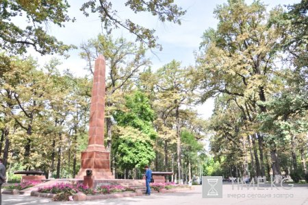 Начинается борьба с минирующей молью Начинается борьба с минирующей молью