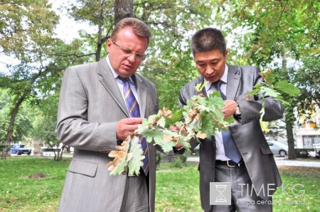 Начинается борьба с минирующей молью