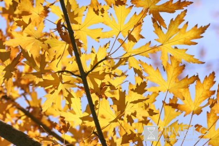 Календарь походов и поездок Союза на Октябрь 2012 года Календарь походов и поездок Союза на Октябрь 2012 года